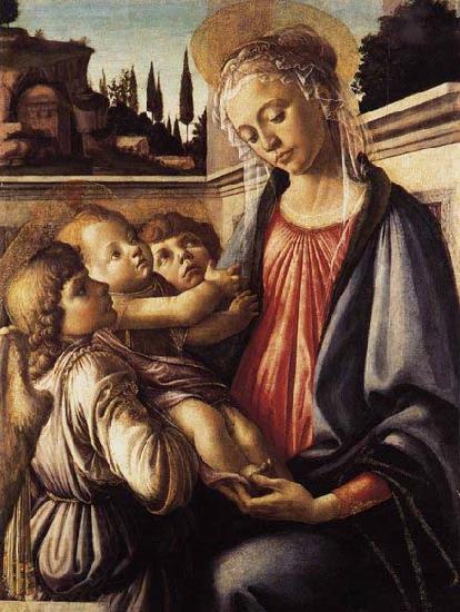 Sandro Botticelli Madonna and Child and Two Angels oil painting picture